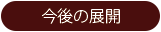 今後の展開