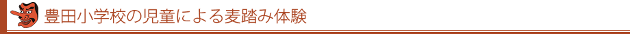 豊田小学校の児童による麦踏み体験