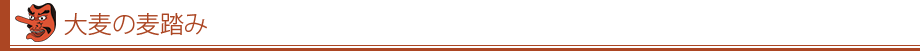 大麦麦踏の意義
